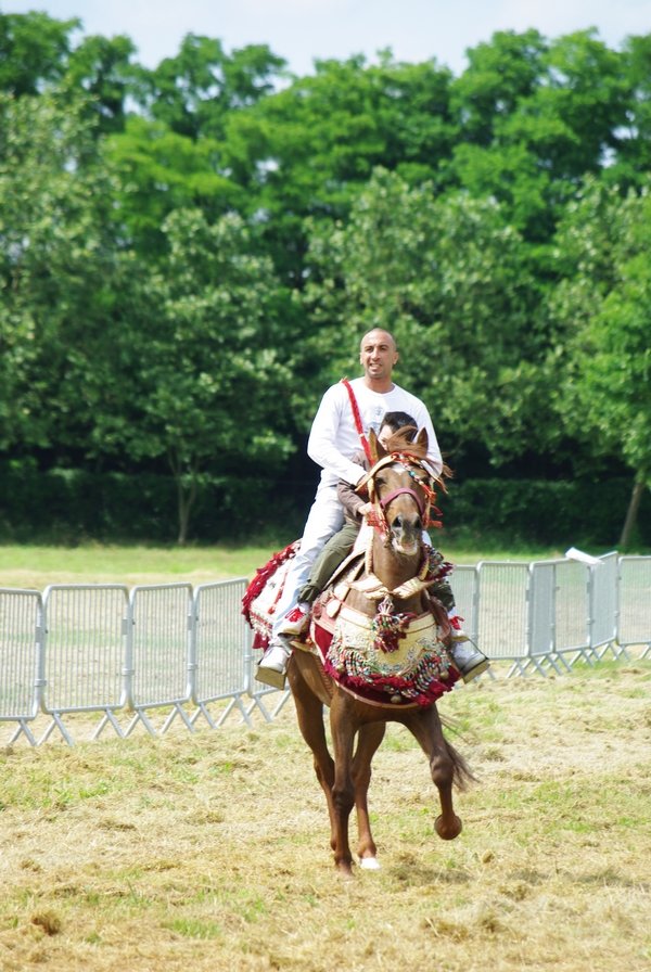 Le Moussem des Cultures 2008 089.jpg